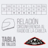 Cupula Racing Yzf - R3 Carbon